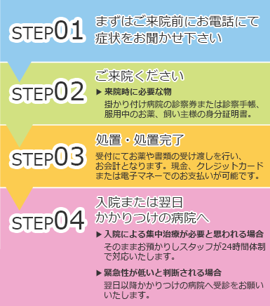 診療の流れ